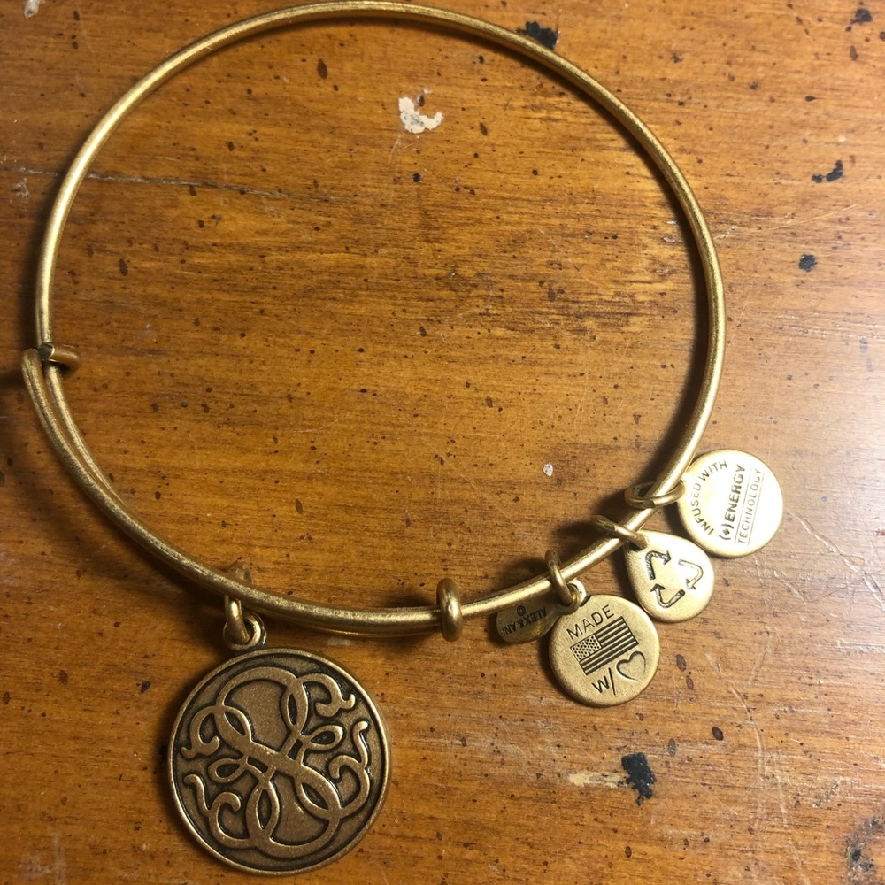 Alex And Ani Path Of Life Charm Bangle - image 1